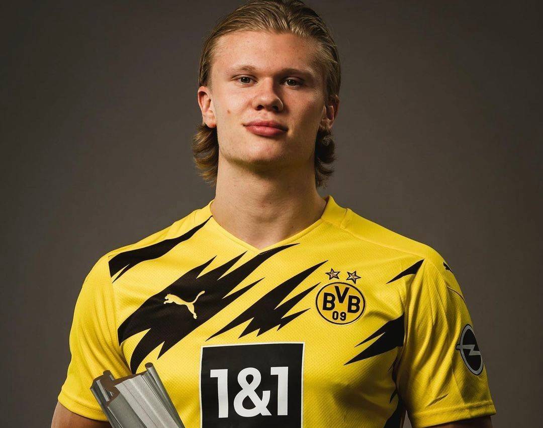 《古墓丽影》工作室Eidos蒙特利尔大裁员！